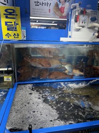 만포장원 사진 4
