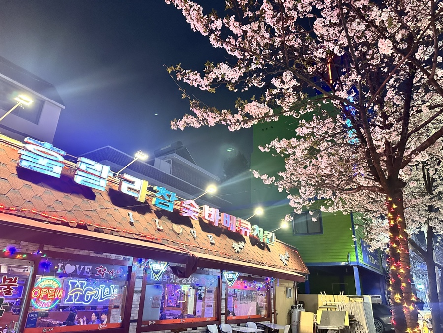훌랄라참숯불치킨 신림1점 사진 7