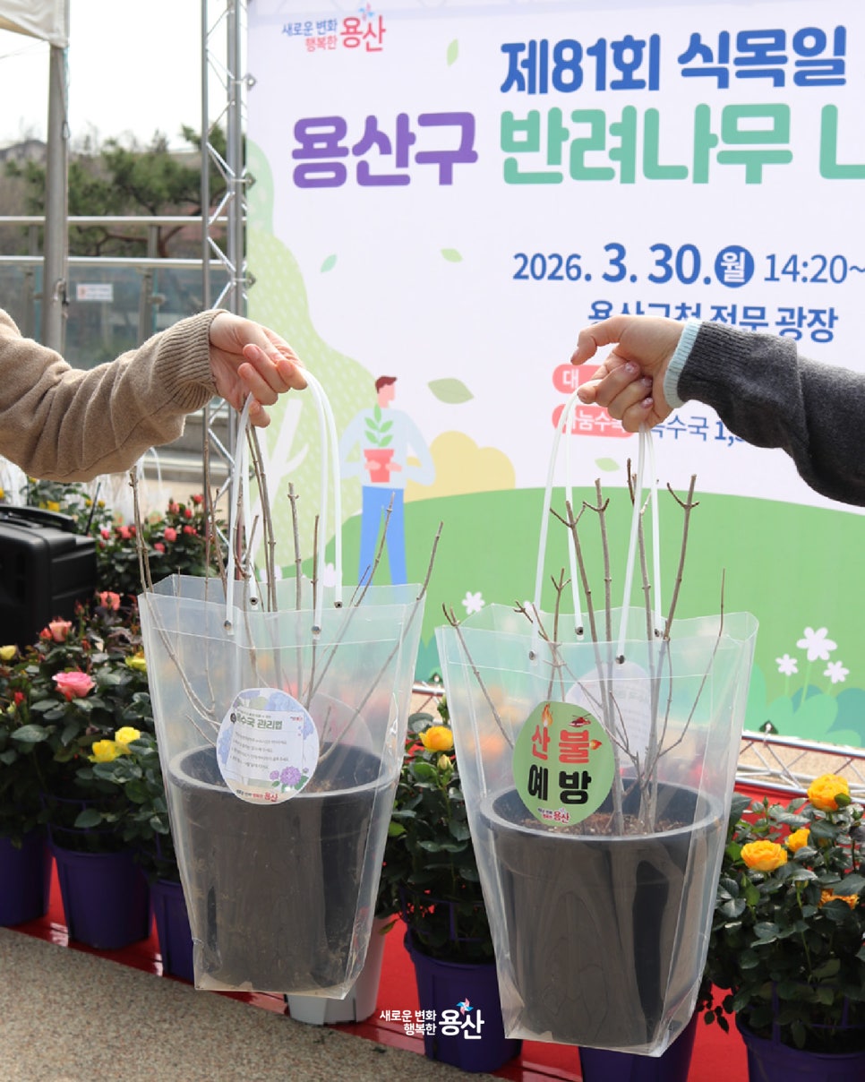 브로콜리 지역정보 관련 사진 8