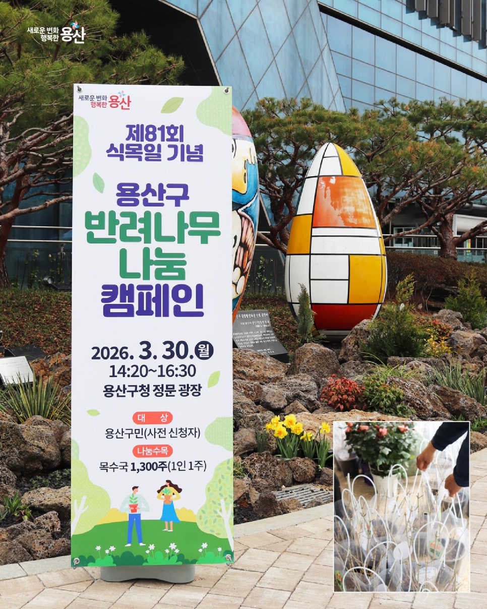 브로콜리 지역정보 관련 사진 9