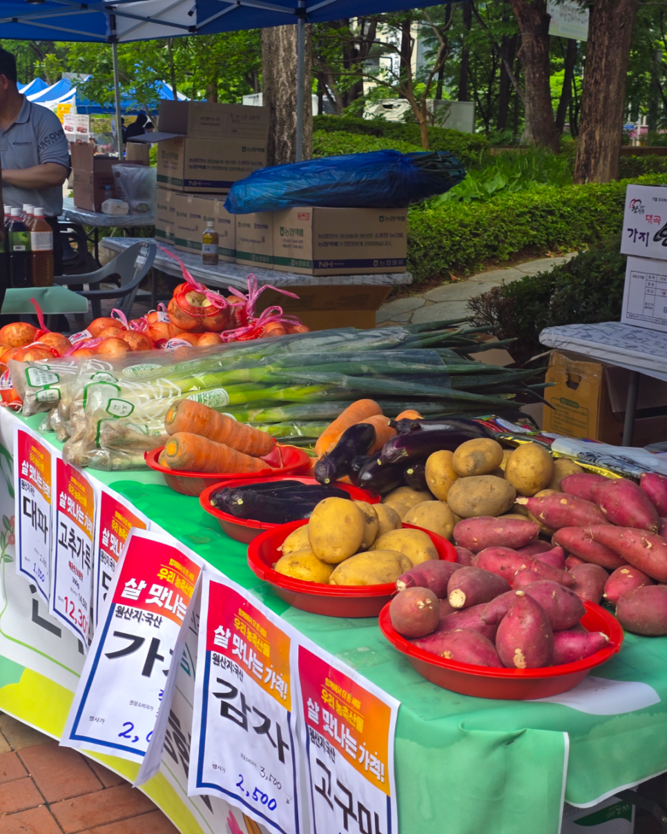 브로콜리 지역정보 관련 사진 2