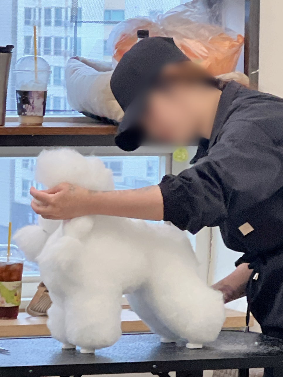 부평 애견미용학원, 3급부터 2급 취업까지 실전 커리큘럼 — 사진 3