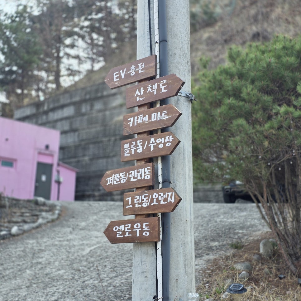 수원 근교 애견펜션 위드펫빌리지 블루A, 넓은 객실과 놀이터 후기 — 사진 3