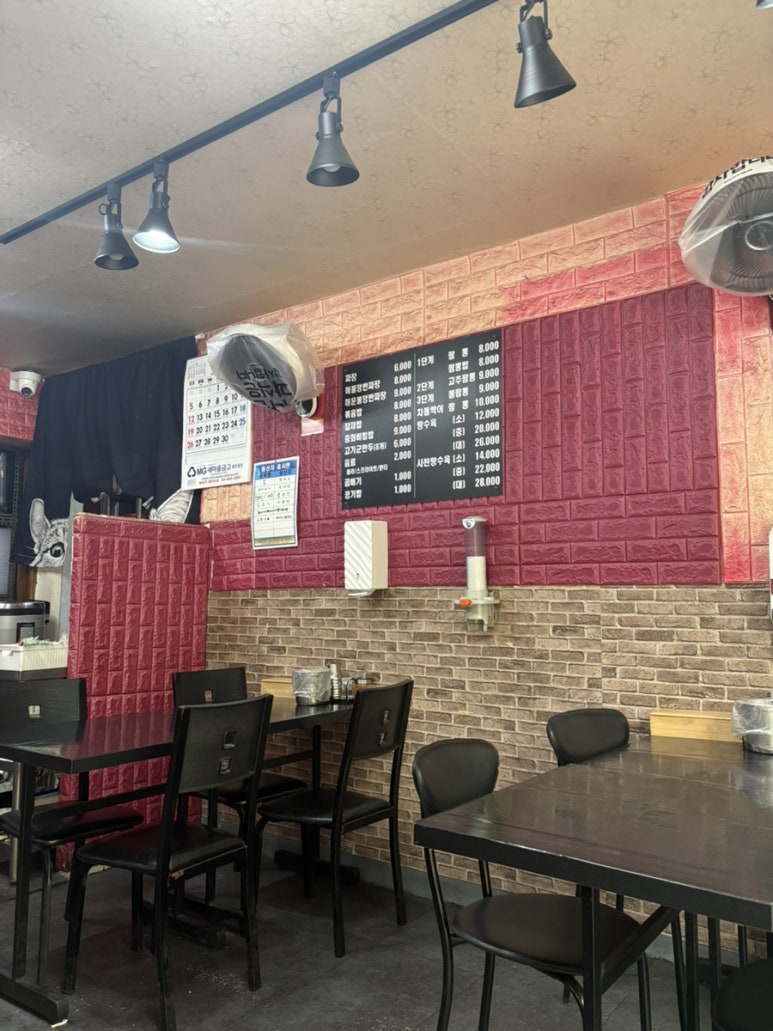 부산갈매기 사진