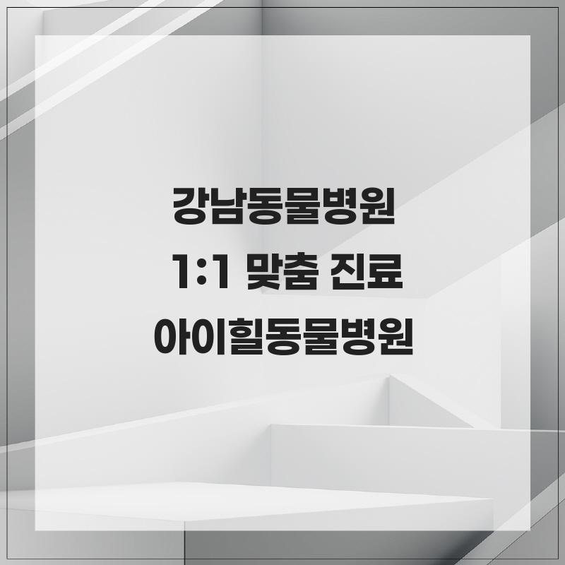 강남 아이힐동물병원: 슬개골탈구 1:1 맞춤 진료 — 사진 2