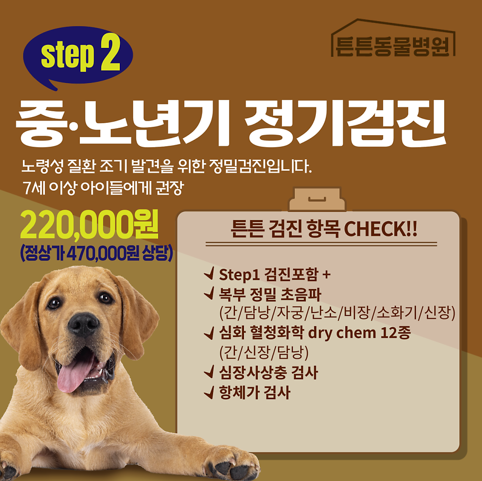 위례하남 강아지 종합검진 비용 및 후기 (13세 말티즈) — 사진 6