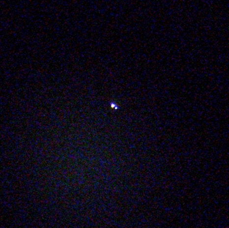 브로콜리 지역정보 관련 사진 37