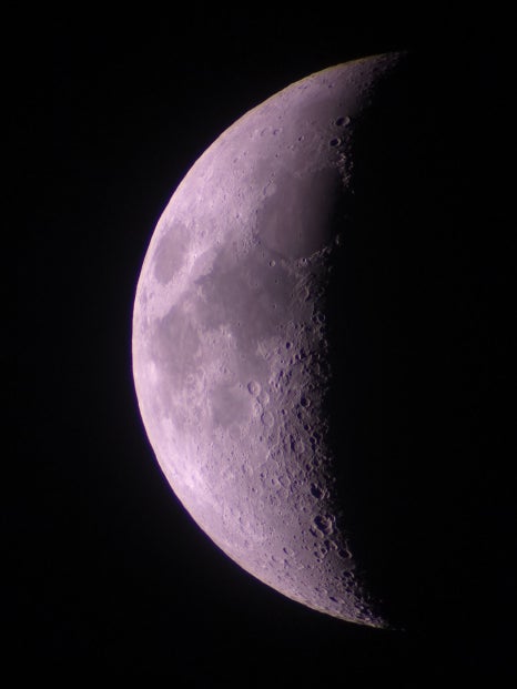 브로콜리 지역정보 관련 사진 33