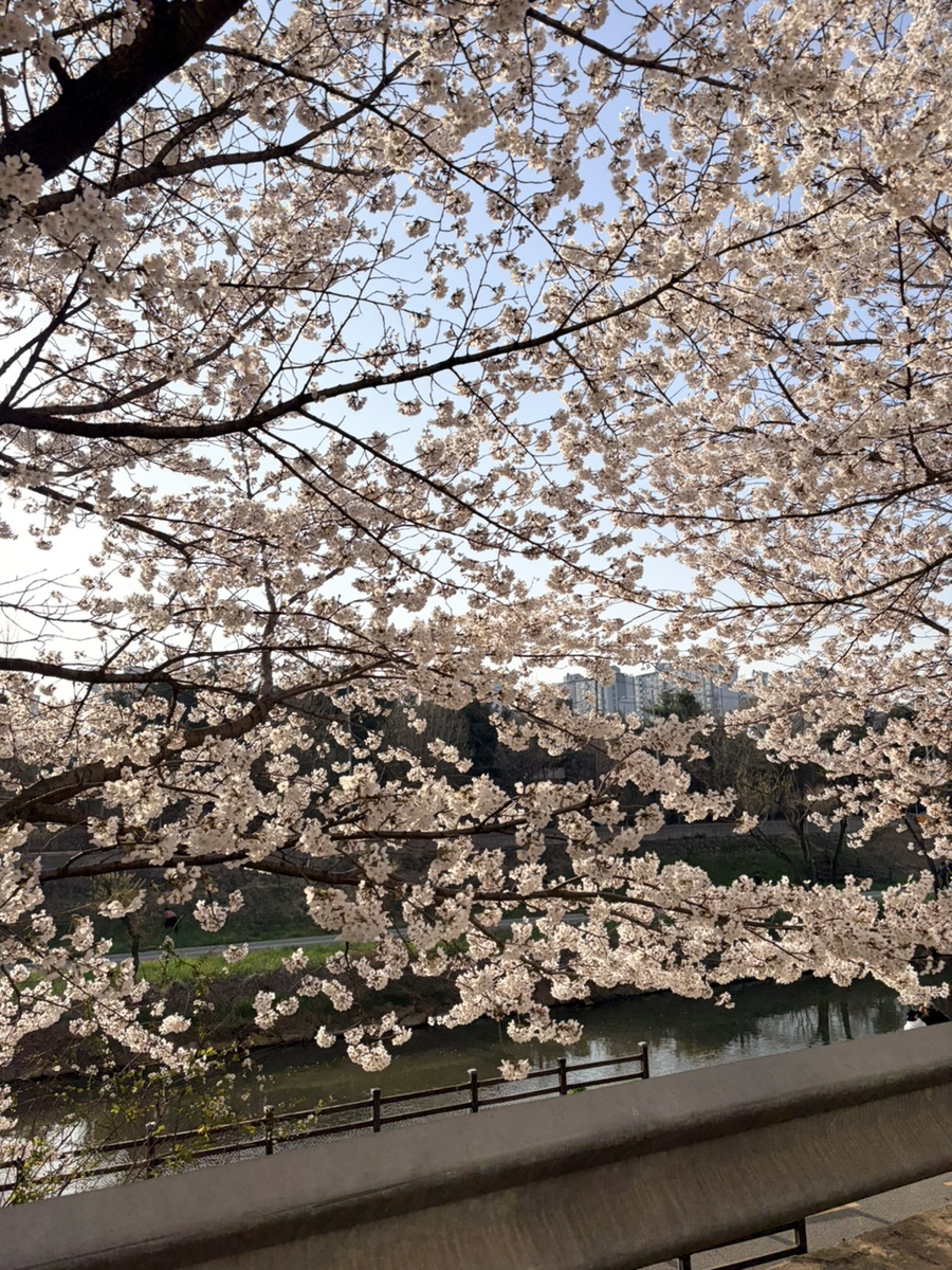 오두막포차 대표 사진