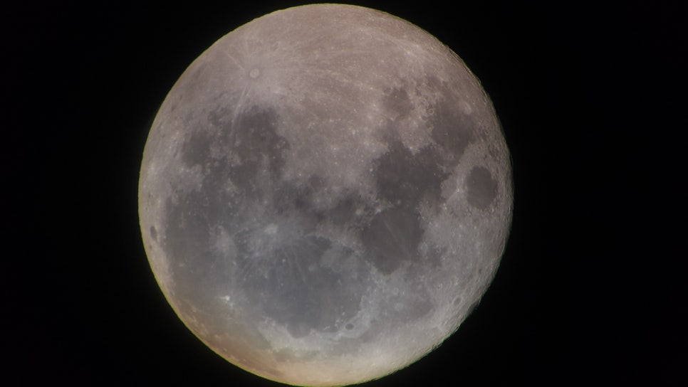 브로콜리 지역정보 관련 사진 34