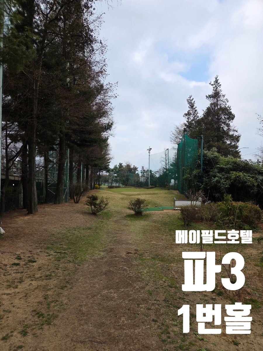 메이필드 호텔 파3 골프장: 가격·코스·주차 완벽 분석 — 사진 8