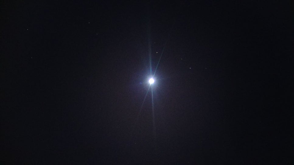 브로콜리 지역정보 관련 사진 36