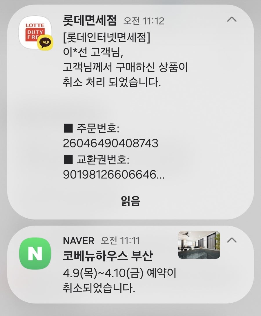 대마도 1박2일 여행 취소 후기: 파도 높이와 배멀미 지수 확인법 — 사진 14