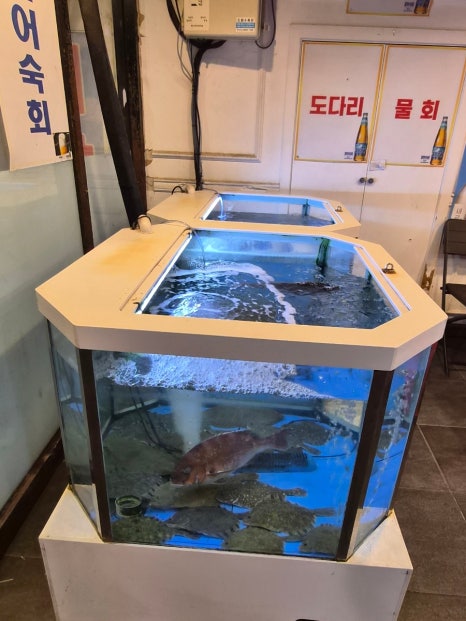 자갈치회물회 사진 7