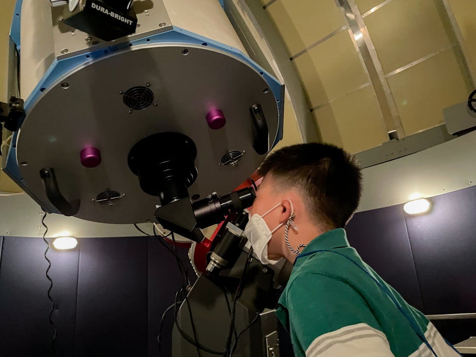 브로콜리 지역정보 관련 사진 28