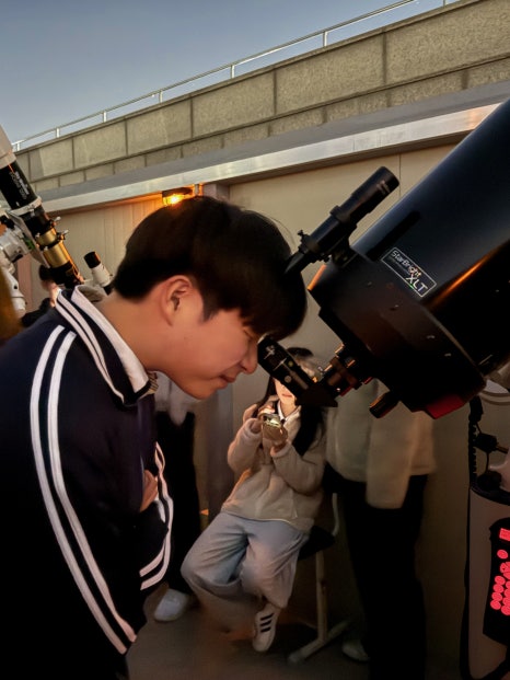 브로콜리 지역정보 관련 사진 30