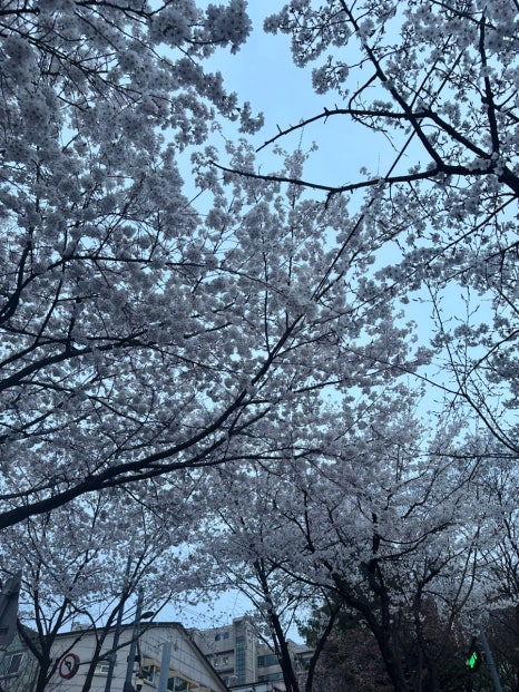 완미족발 용인보정점 사진 5