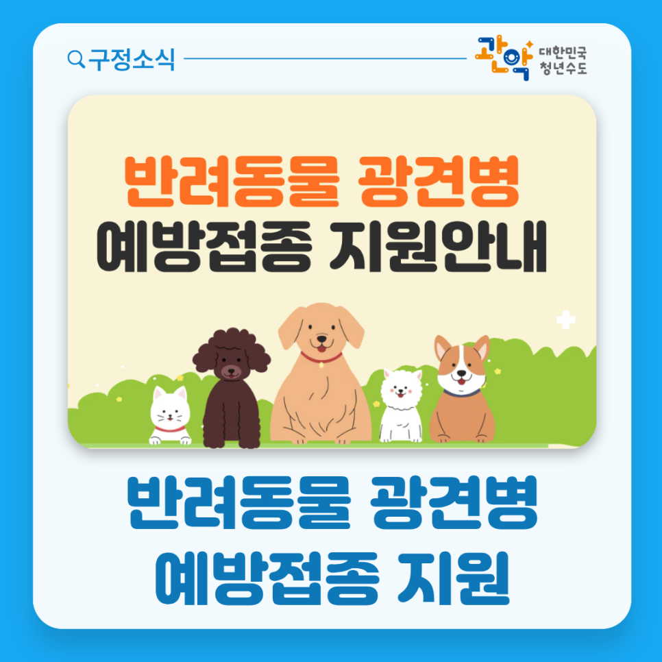 브로콜리 지역정보 관련 사진 1