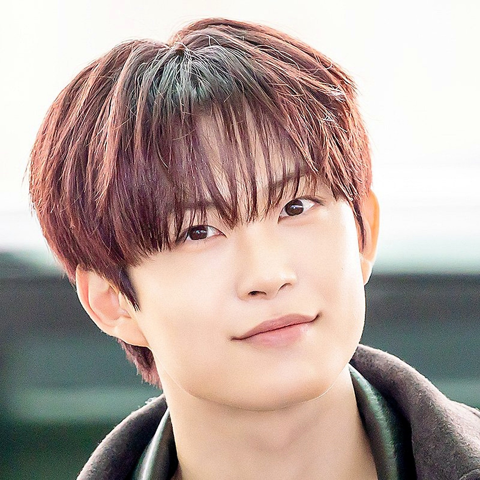 알디원 김건우 논란과 활동중단, 아쉽다는 반응도 적지 않다 이미지 1