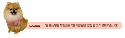 노원 강아지 유치원 성향 테스트 상담 후기 — 사진 1