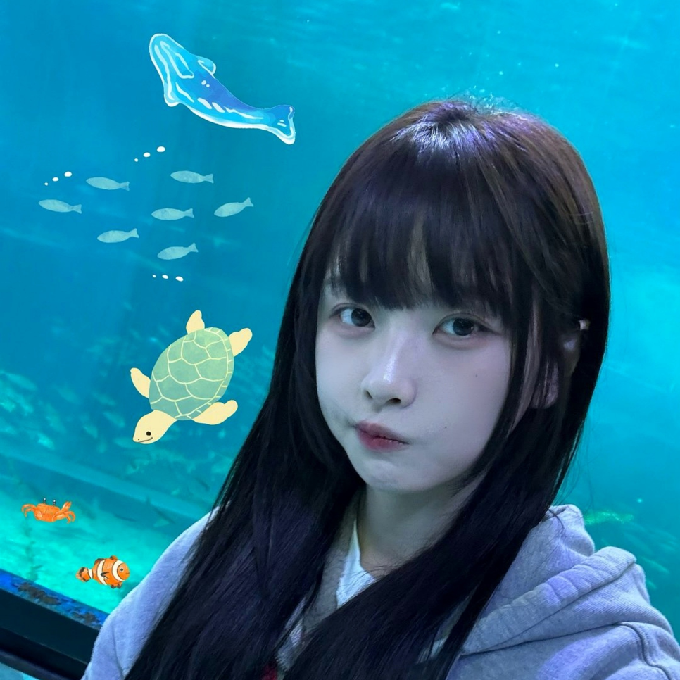 고말숙 KBS 뉴스 깜짝 등장, 공개 전부터 입소문이 번지고 있다 이미지 1