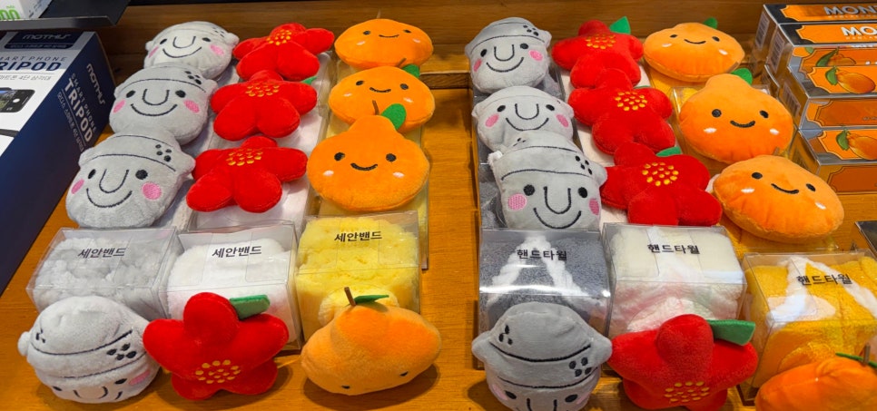 제주 2박 3일 완벽 코스: 동선, 맛집, 카페 총정리 — 사진 15