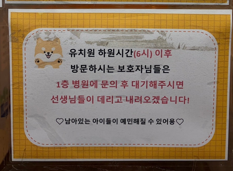 노원 강아지 유치원 성향 테스트 상담 후기 — 사진 5
