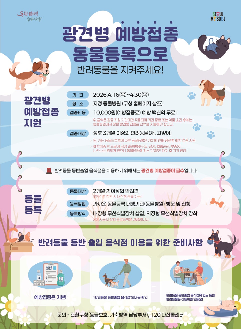 브로콜리 지역정보 관련 사진 1