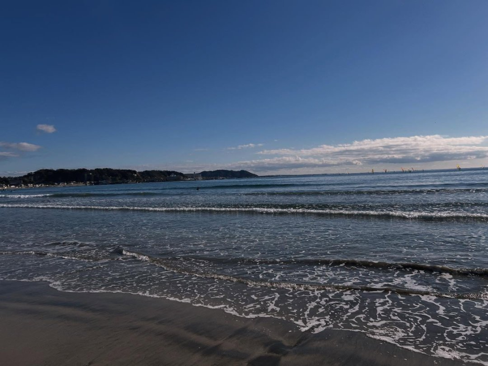 배우 부부, 의외의 조합이 더 눈길을 끈다 이미지 4