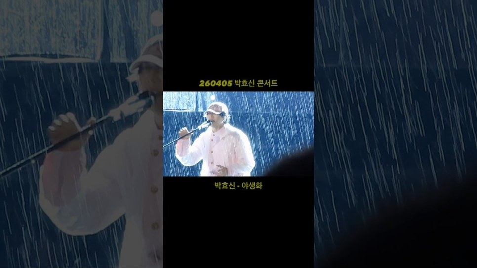 박효신 콘서트, 반응이 커진 배경이 드러났다 이미지 5