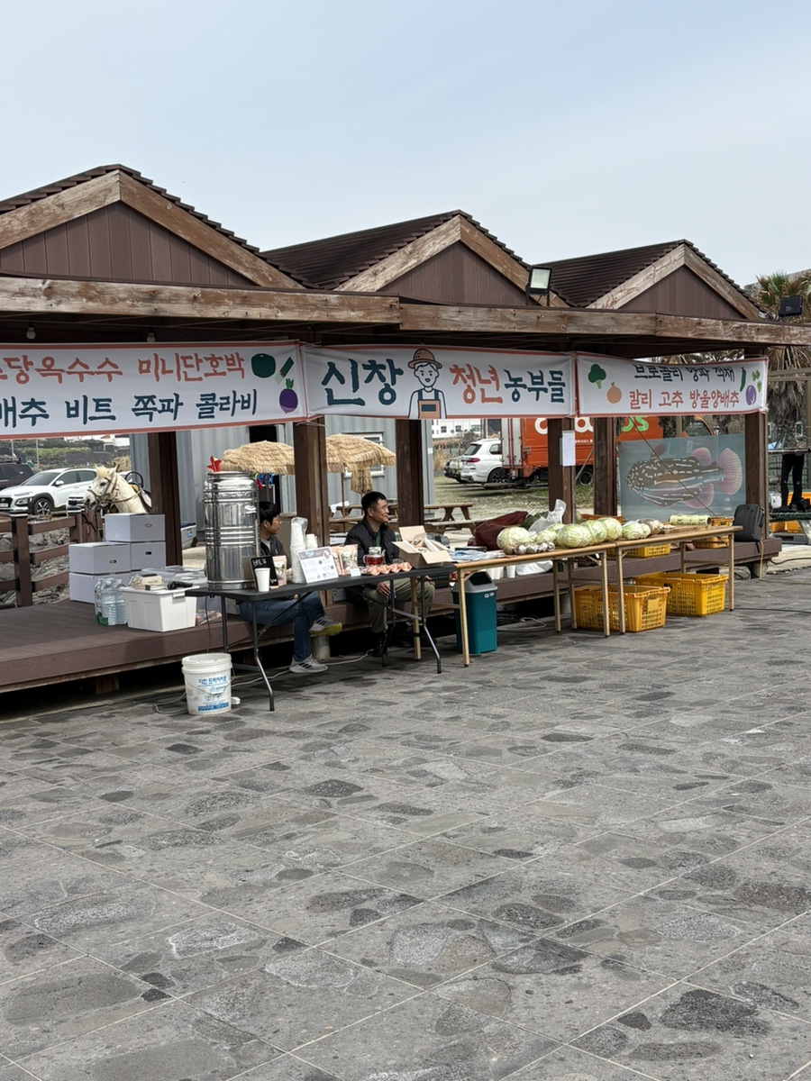 내가여기서이걸할줄몰랐다2 사진 8