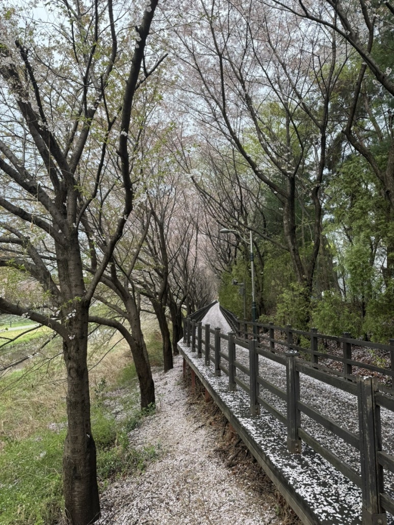 써브웨이 판교역점 사진 7