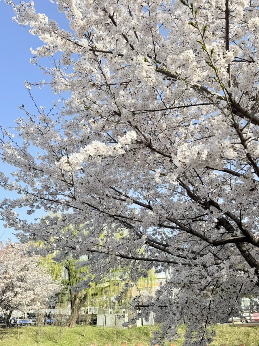 샐럽샌드 사진 7