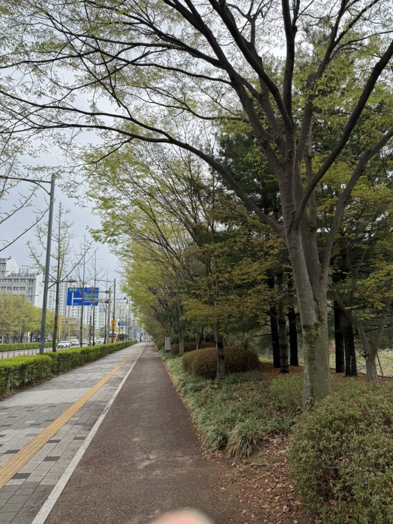 써브웨이 판교역점 사진 5