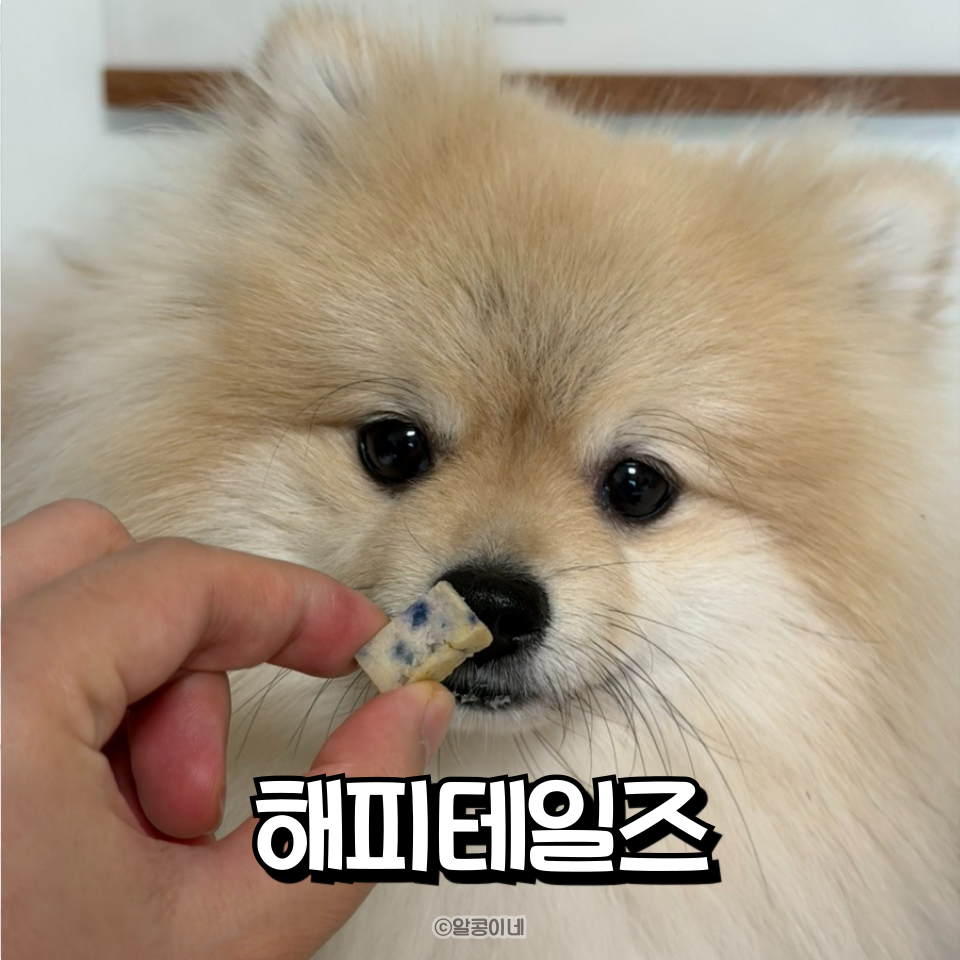 강아지 보양식 해피테일즈 고양빵, 체중관리 간식 추천 — 사진 5