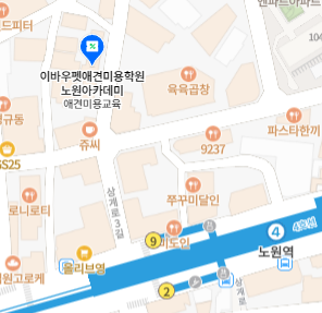 노원애견미용학원 특강: 견종별 커트 노하우와 전문가 자세 — 사진 10