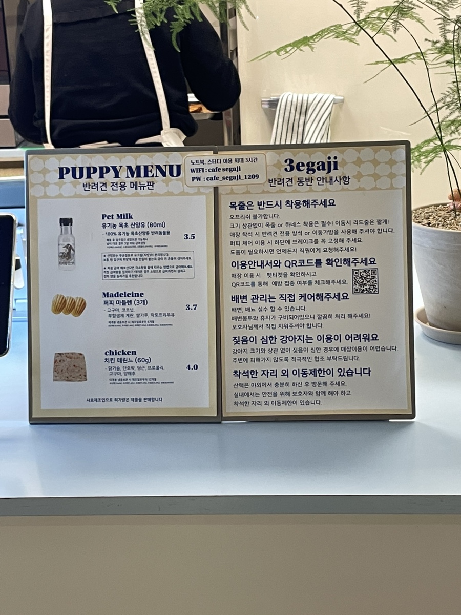 성남 모란역 애견동반 카페 '세가지' 방문 후기 — 사진 6