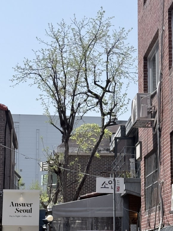 소연 삼성점 사진 6
