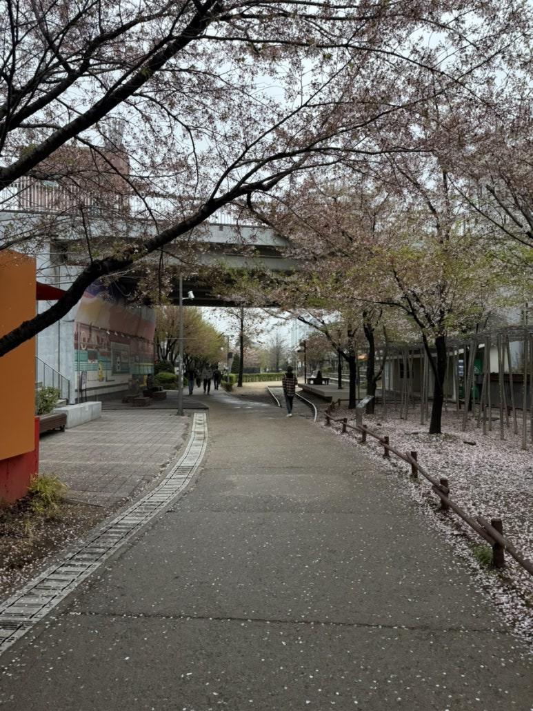 디에그 신촌점 사진 8