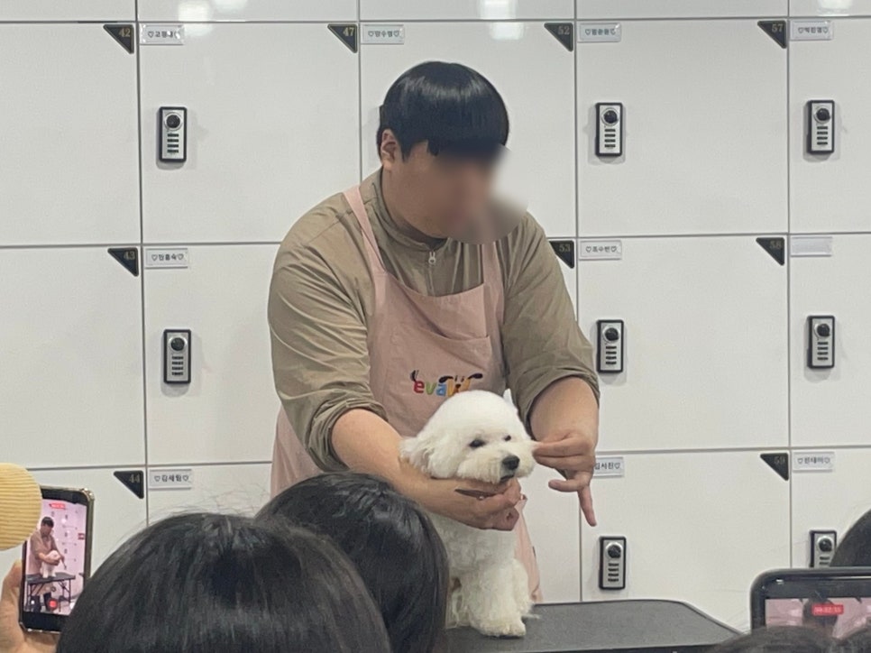 노원애견미용학원 특강: 견종별 커트 노하우와 전문가 자세 — 사진 9