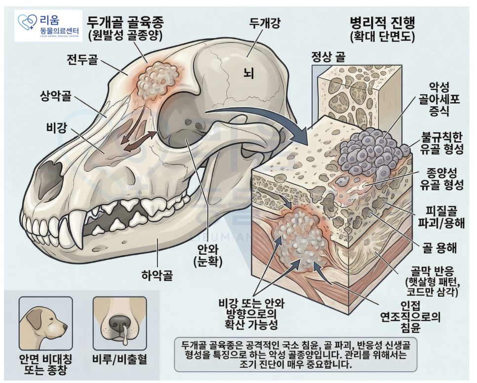 송파 강아지 두개골 종양 수술, CT·MRI 진단 및 재건 후기 — 사진 2