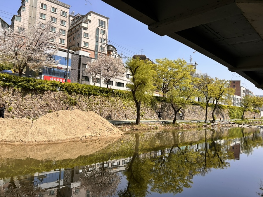별이네통통김밥 사진 4