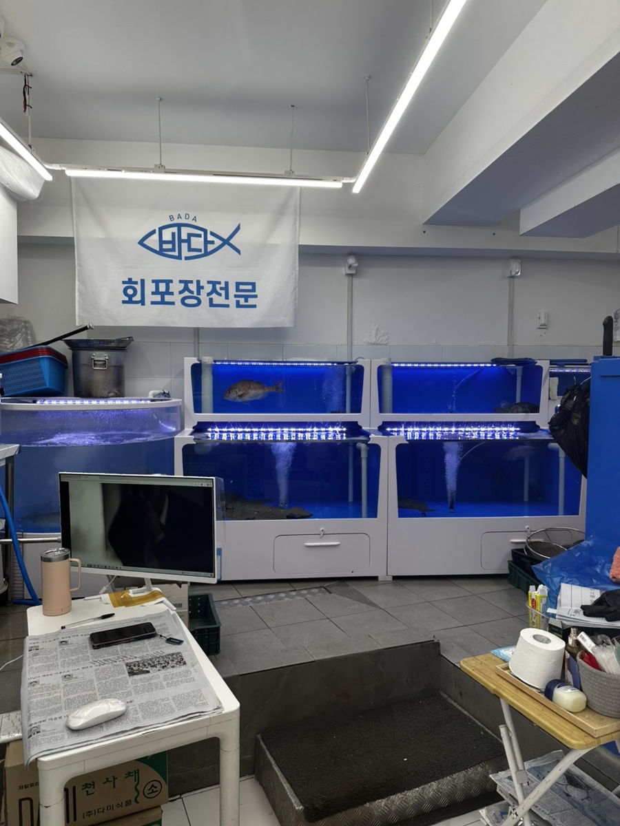 바다 사진 2