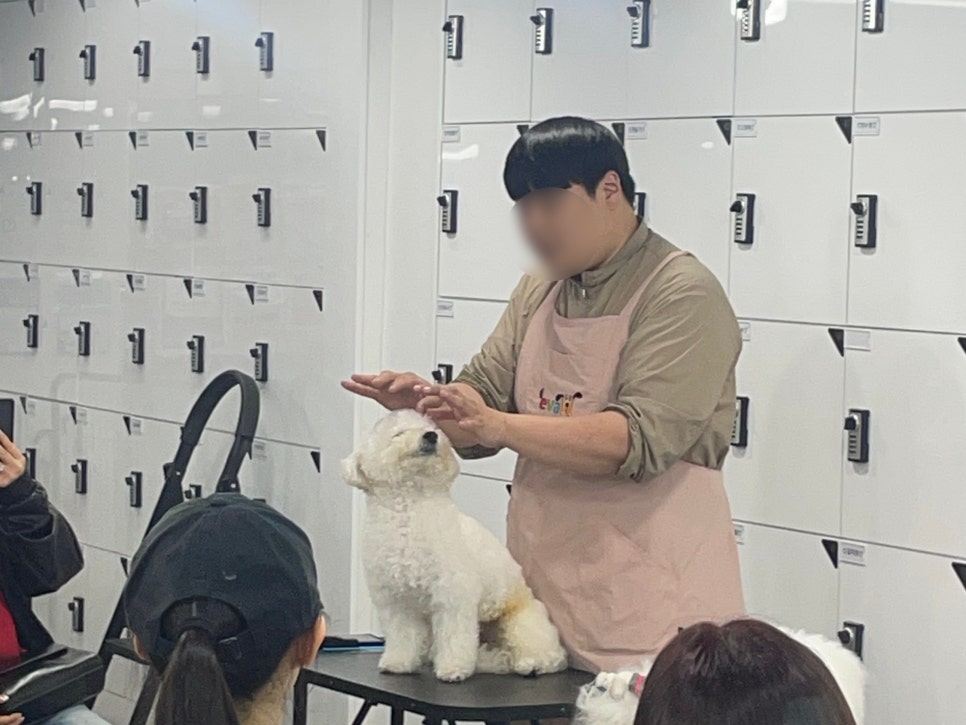 노원애견미용학원 특강: 견종별 커트 노하우와 전문가 자세 — 사진 3