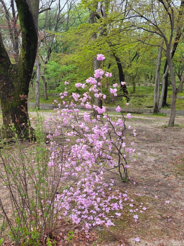 사이공본가 분당오리역점 사진 7