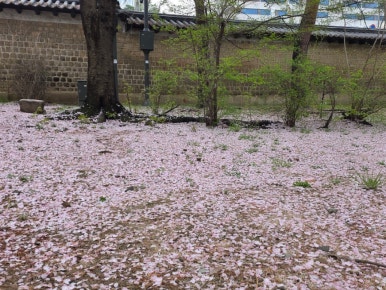 사이공본가 분당오리역점 사진 4