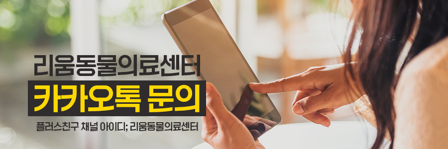 송파 강아지 두개골 종양 수술, CT·MRI 진단 및 재건 후기 — 사진 13