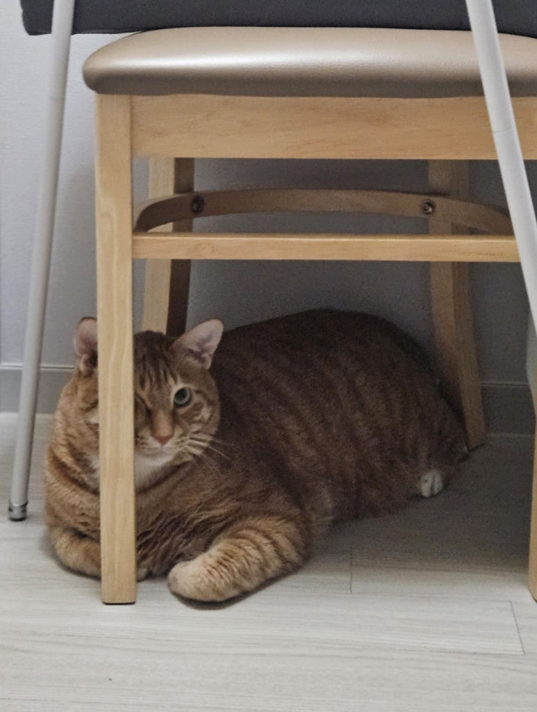 황금정육식당 사진 3
