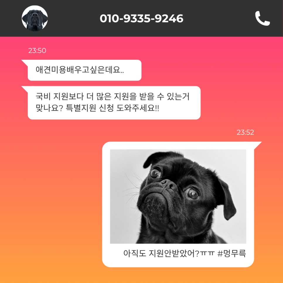 고덕 애견미용학원: 실무 중심 교육으로 취업/창업 성공하기 — 사진 3