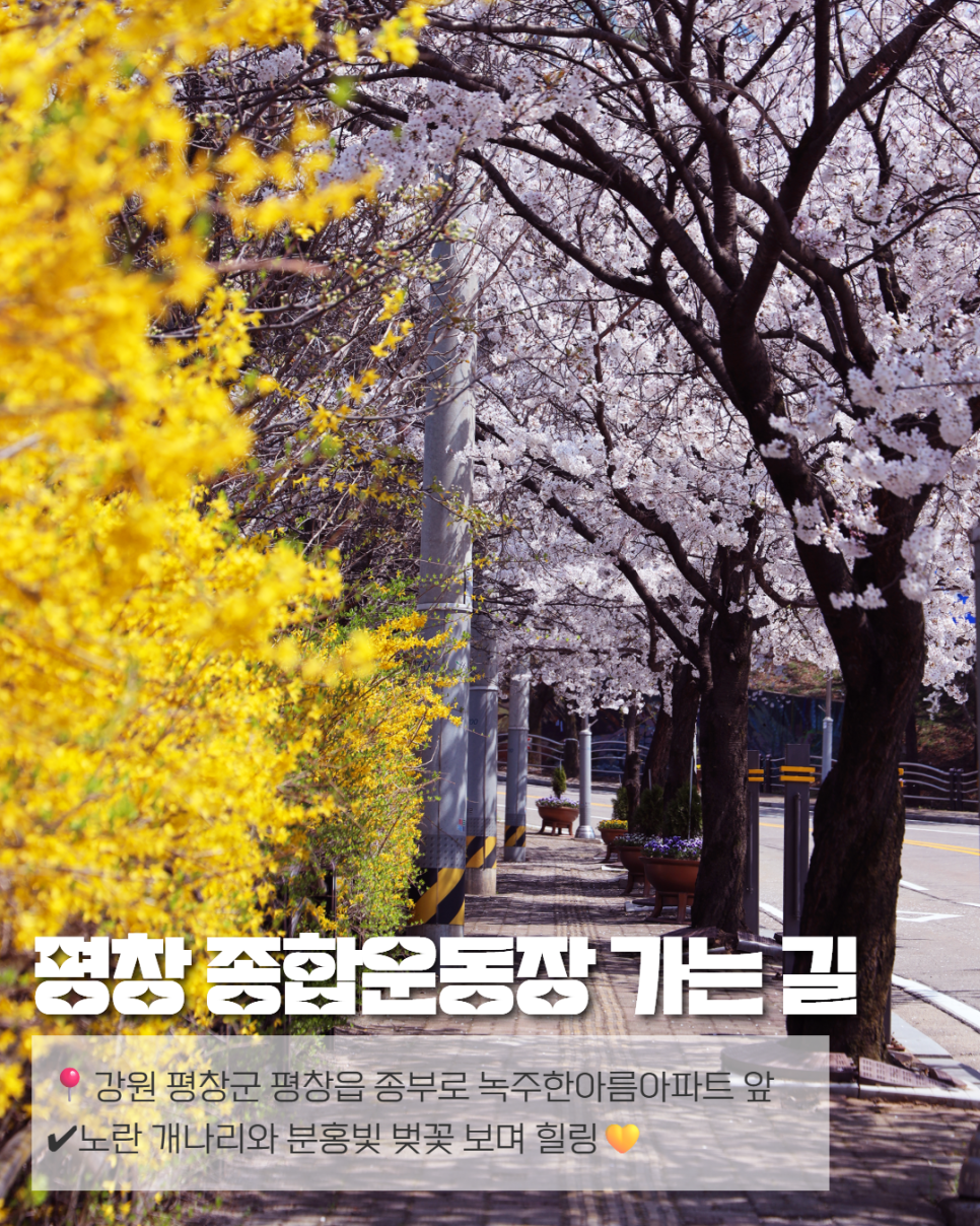 네이버블로그